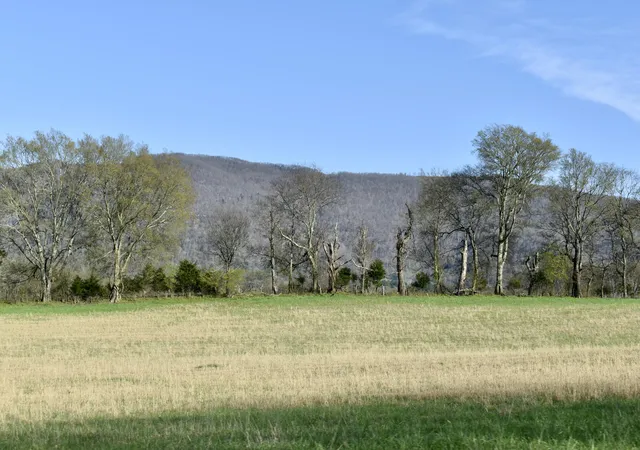 5th image of 20092 Old State Hwy 28, Pikeville, TN 37367 | MLS# 1389953