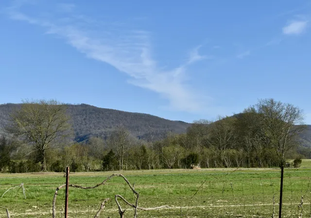 5th image of 20093 Old State Hwy 28, Pikeville, TN 37367 | MLS# 1389954