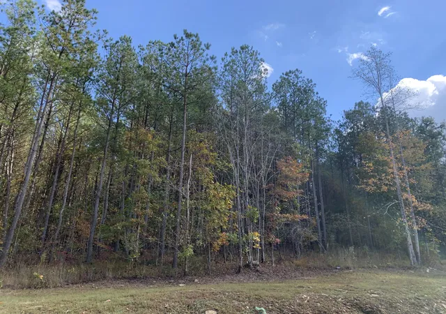 Photo 3 of Land for sale at 4910 Raulston Falls Rd #Jf-106, Jasper, TN 37347 | MLS# 1376310 | Listing updated on 2026-07-30