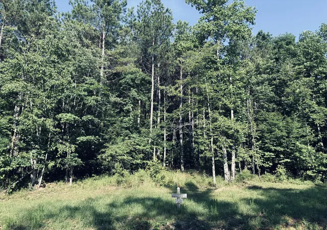 Homes for sale in Jasper, TN | 4910 Raulston Falls Rd #Jf-106, Jasper, TN 37347 | MLS# 1376310