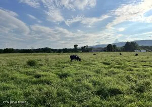 1st image of 0 Old State Hwy 28, Pikeville, TN 37367 | MLS# 1381606