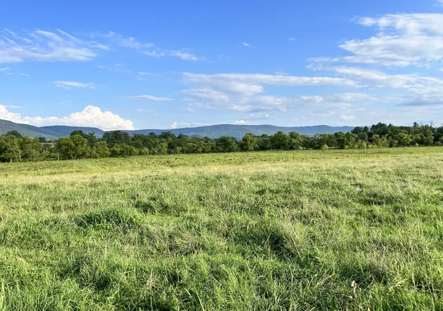9th image of 0 Old State Hwy 28, Pikeville, TN 37367 | MLS# 1381606