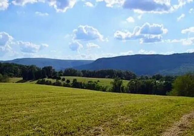 3rd image of 919 John Burch Rd, Dunlap, TN 37327 | MLS# 1395806