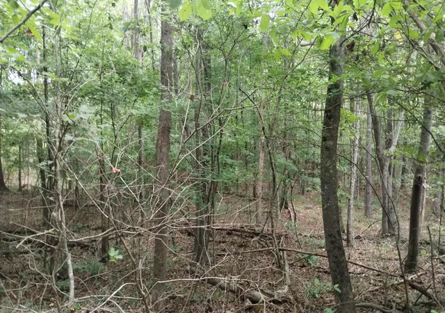Photo 2 of Land for sale at 0 Houston Vallety Rd, Ringgold, GA 30736 | MLS# 1398139 | Listing updated on 2026-08-19