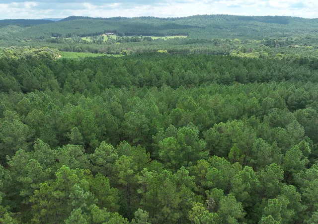 Photo 3 of Land for sale at 0 Houston Vallety Rd, Ringgold, GA 30736 | MLS# 1398139 | Listing updated on 2026-08-19