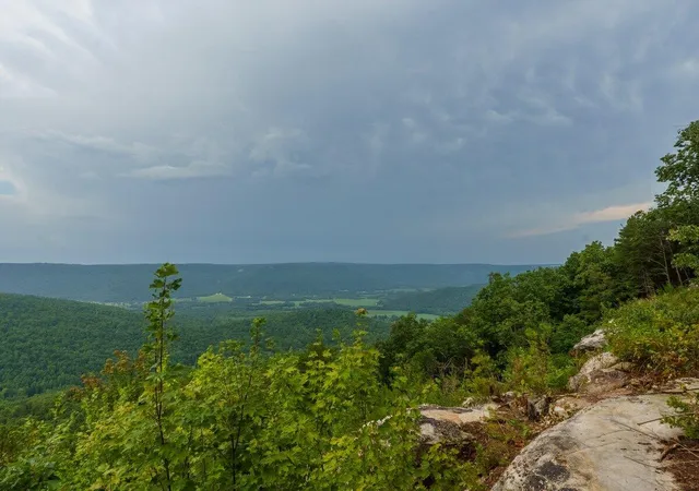 Photo 1 of Land for sale at 000 Crockett Pt #170, Jasper, TN 37347 | MLS# 1396878 | Listing updated on 2026-09-09