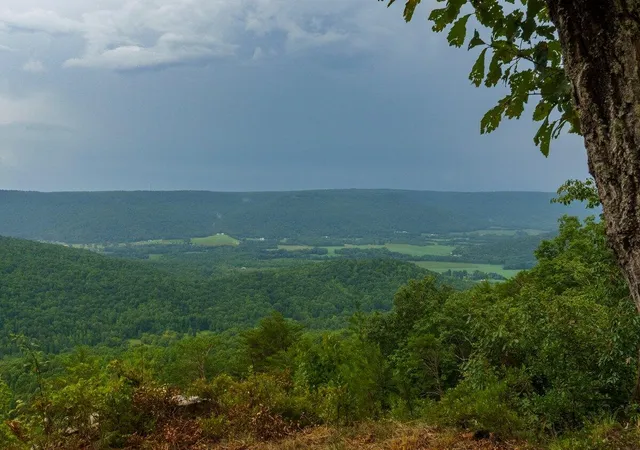 Photo 2 of Land for sale at 000 Crockett Pt #170, Jasper, TN 37347 | MLS# 1396878 | Listing updated on 2026-09-09