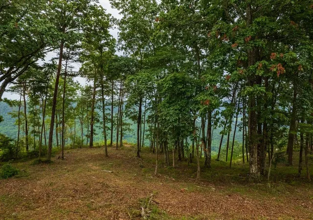 Photo 3 of Land for sale at 000 Crockett Pt #170, Jasper, TN 37347 | MLS# 1396878 | Listing updated on 2026-09-09