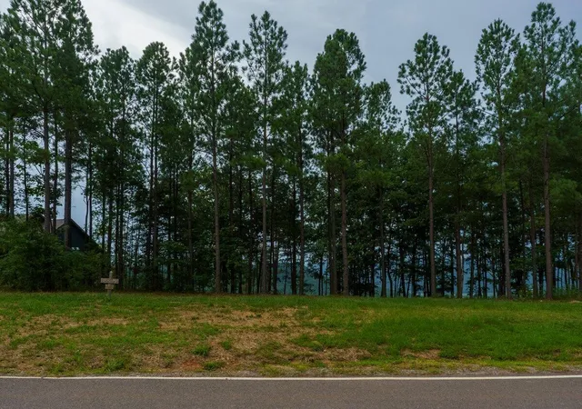 Photo 4 of Land for sale at 000 Crockett Pt #170, Jasper, TN 37347 | MLS# 1396878 | Listing updated on 2026-09-09