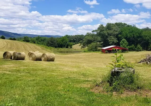 image of 0 John Burch Rd #A, Dunlap, TN 37327 | MLS# 1395827