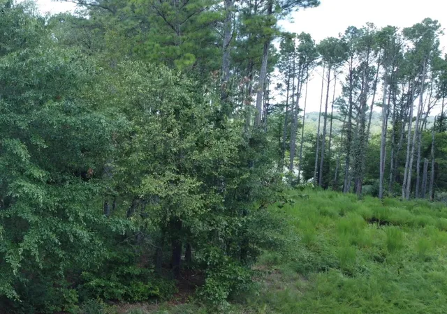 Photo 3 of Land for sale at 0 Castaway Ln #68, Jasper, TN 37347 | MLS# 1398052 | Listing updated on 2026-08-19