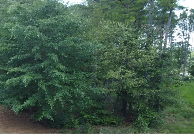 Photo 4 of Land for sale at 0 Castaway Ln #68, Jasper, TN 37347 | MLS# 1398052 | Listing updated on 2026-08-19