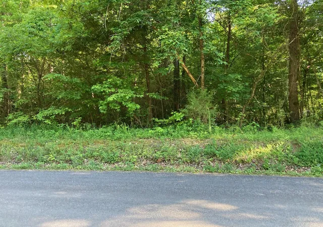 Land for sale at 0 Horner Holw Rd, Birchwood, TN 37308 | MLS# 1501409 | Listing updated on 2025-07-02