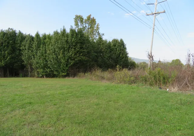 8th image of 10865 Hwy 28, Whitwell, TN 37397 | MLS# 1501621