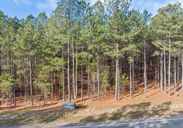 Photo 3 of Land for sale at 0 Crockett Point #JF221, Jasper, TN 37347 | MLS# 1504067 | Listing updated on 2026-07-15