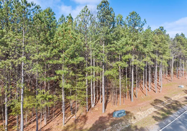 Photo 3 of Land for sale at 0 Crockett Point #JF221, Jasper, TN 37347 | MLS# 1504067 | Listing updated on 2026-07-15