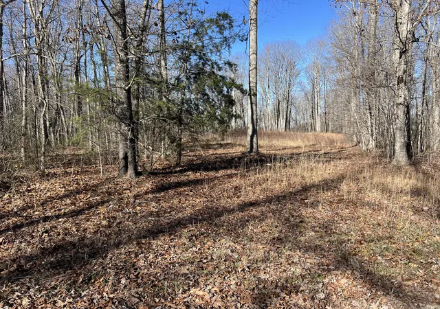 Homes for sale in Pikeville, TN | 0 Fern Hill Rd #47, Pikeville, TN 37367 | MLS# 1504818