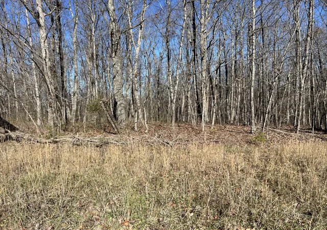 Homes for sale in Pikeville, TN | 0 Fern Hill Rd #47, Pikeville, TN 37367 | MLS# 1504818