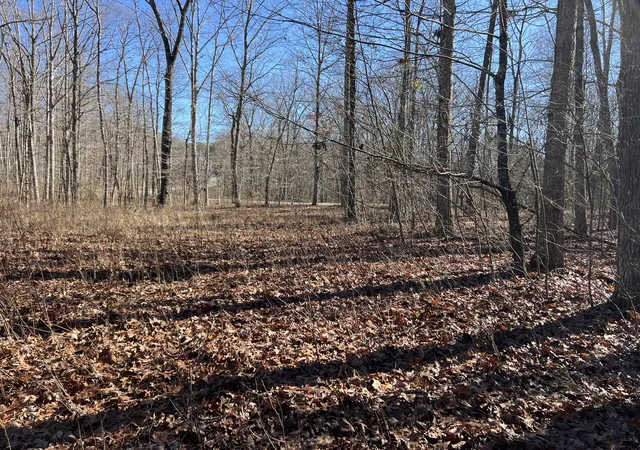 Homes for sale in Pikeville, TN | 0 Fern Hill Rd #47, Pikeville, TN 37367 | MLS# 1504818