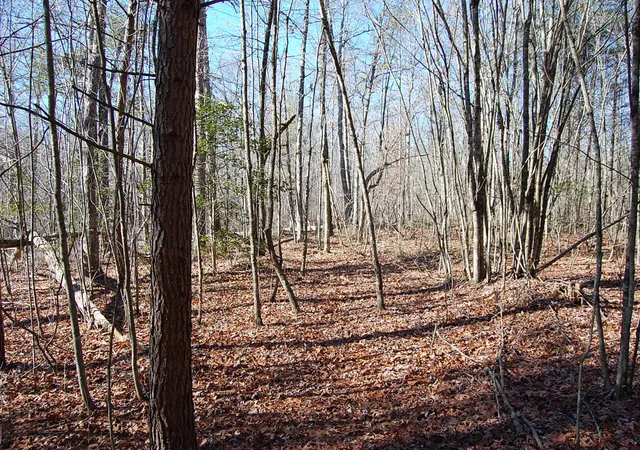 27th image of 4 Henson Gap Rd, Soddy Daisy, TN 37379 | MLS# 1505450