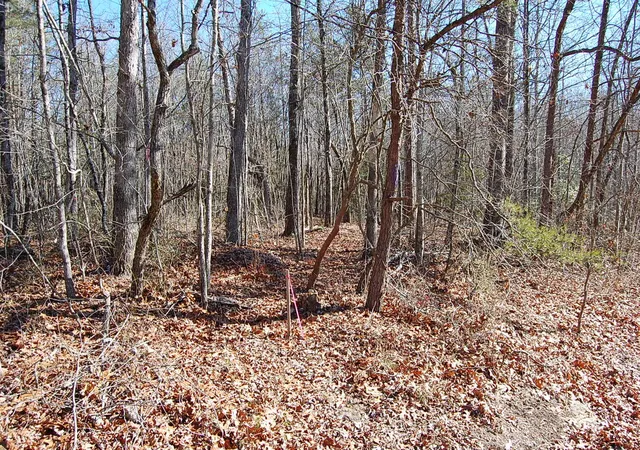 2nd image of 4 Henson Gap Rd, Soddy Daisy, TN 37379 | MLS# 1505450
