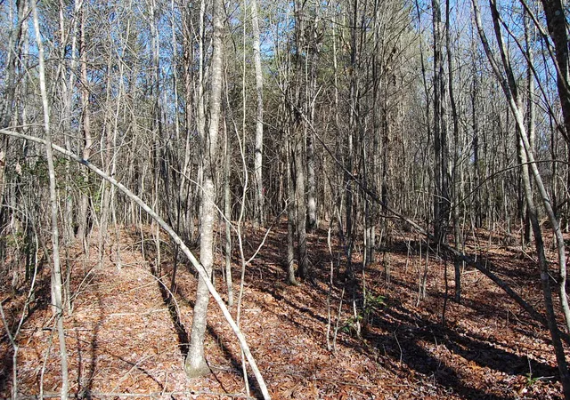 Photo 4 of Sale Pending at 4 Henson Gap Rd, Soddy Daisy, TN 37379 | MLS# 1505450 | Listing updated on 2026-01-07