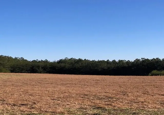 1st image of 5734 Us 127, Signal Mountain, TN 37377 | MLS# 1507968