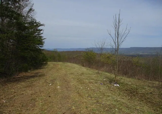 1st image of 327 Odyssey Farms Rds, Pikeville, TN 37367 | MLS# 1508562