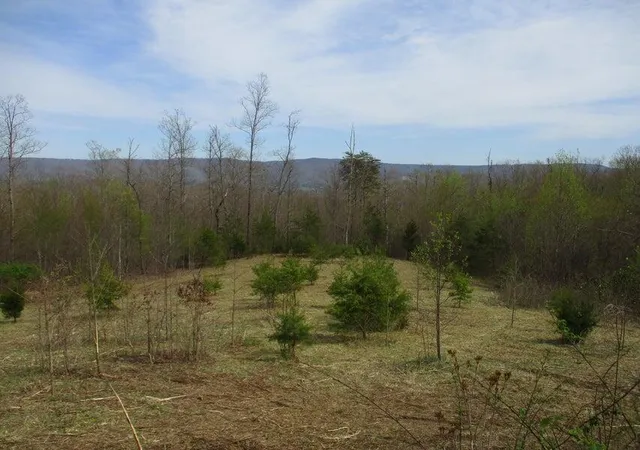 2nd image of 327 Odyssey Farms Rds, Pikeville, TN 37367 | MLS# 1508562