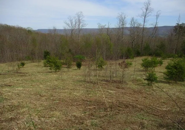 3rd image of 327 Odyssey Farms Rds, Pikeville, TN 37367 | MLS# 1508562