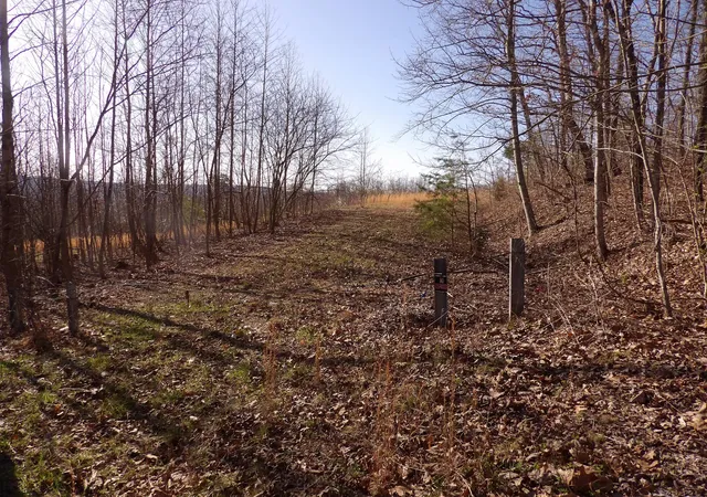4th image of 327 Odyssey Farms Rds, Pikeville, TN 37367 | MLS# 1508562