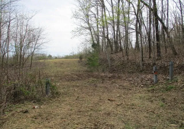 5th image of 327 Odyssey Farms Rds, Pikeville, TN 37367 | MLS# 1508562