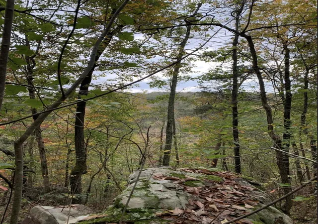 Photo 3 of Unimproved Land at 204 Mathes Ln #LOTS 5, 6, 7 & 8, Signal Mountain, TN 37377 | MLS# 1509045 | | Sold on 2025-05-30