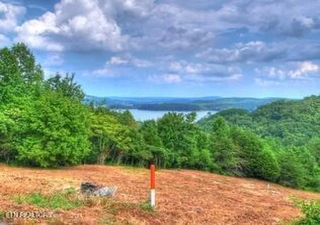 Photo 3 of Land for sale at Lot 406 Flint Ridge Rd, Rockwood, TN 37854 | MLS# 1509691 | Listing updated on 2026-08-18