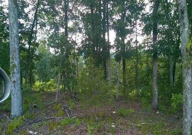 Homes for sale in Cleveland, TN | Lot104/105 Peach Orchard Hill Rd Ne, Cleveland, TN 37323 | MLS# 1510247