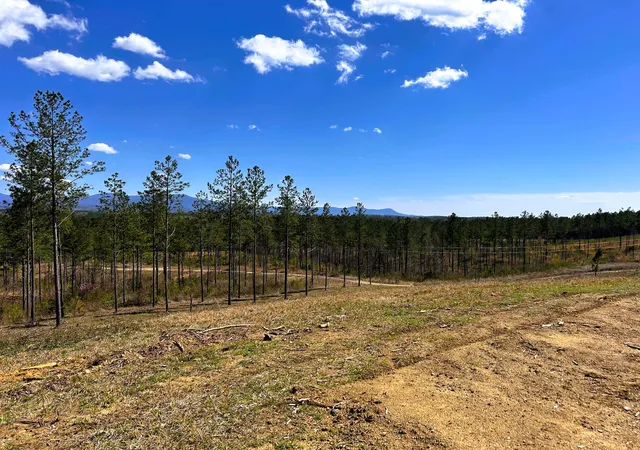 Photo 2 of Land for sale at Tract 26a Hughes Lake Rd Se, Cleveland, TN 37323 | MLS# 1510787 | Listing updated on 2026-03-21