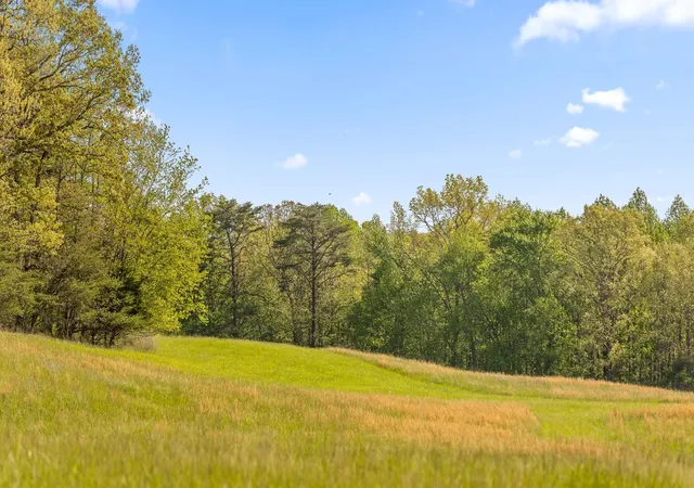 Photo 4 of Land for sale at 384 Acres Clouse Hill Rd, Tracy City, TN 37387 | MLS# 1513172 | Listing updated on 2026-05-28