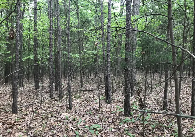 3rd image of 0 Bluffview Dr #26, Dunlap, TN 37327 | MLS# 1512207