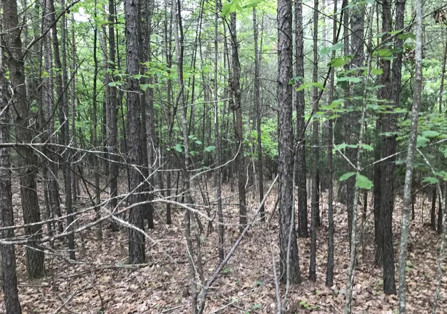 4th image of 0 Bluffview Dr #26, Dunlap, TN 37327 | MLS# 1512207