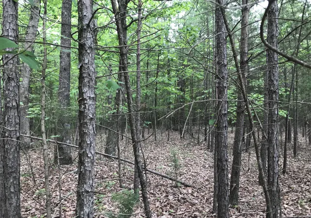 5th image of 0 Bluffview Dr #26, Dunlap, TN 37327 | MLS# 1512207