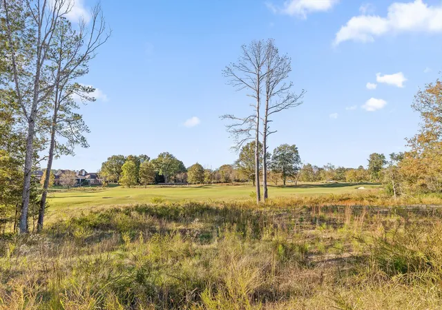 Photo 4 of Land for sale at 415 Council Crk Ln #1, Chattanooga, TN 37421 | MLS# 1523786 | Listing updated on 2025-11-11
