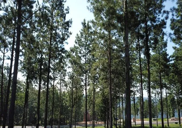 3rd image of 0 Sunset Cir #124, Jasper, TN 37347 | MLS# 1512559