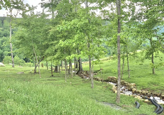 1st image of 6070 Raulston Falls Rd #Lot 97, Jasper, TN 37347 | MLS# 1512945