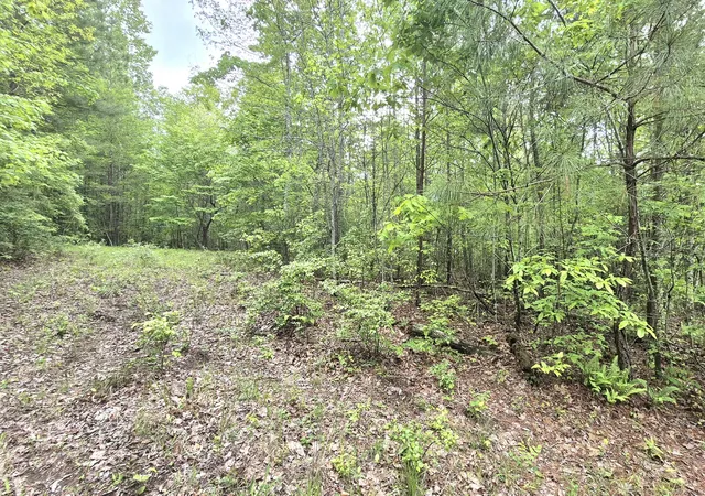 Photo 3 of Land for sale at 6070 Raulston Fls Rd #97, Jasper, TN 37347 | MLS# 1512945 | Listing updated on 2026-05-15