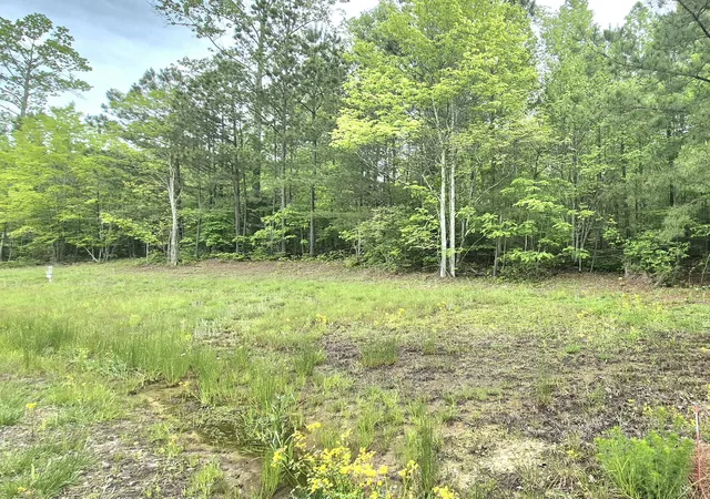 2nd image of 6070 Raulston Falls Rd #Lot 97, Jasper, TN 37347 | MLS# 1512945
