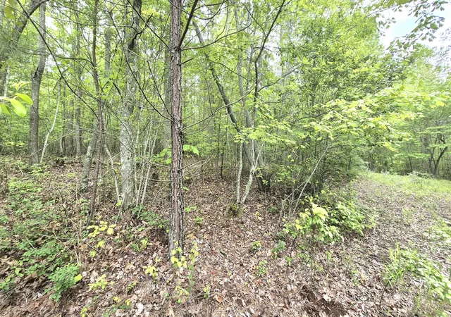 Photo 4 of Land for sale at 6070 Raulston Fls Rd #97, Jasper, TN 37347 | MLS# 1512945 | Listing updated on 2026-05-15