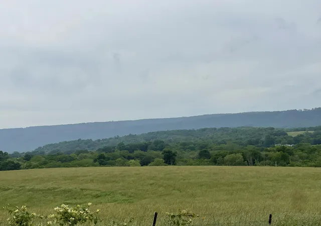 4th image of 496 Aultville Trl, Pikeville, TN 37367 | MLS# 1513055