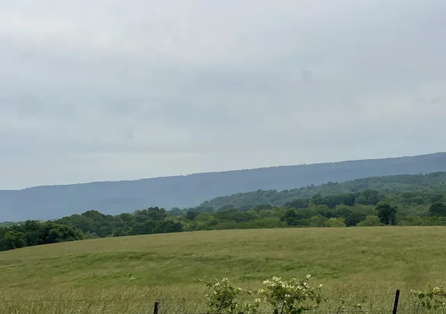 5th image of 496 Aultville Trl, Pikeville, TN 37367 | MLS# 1513055