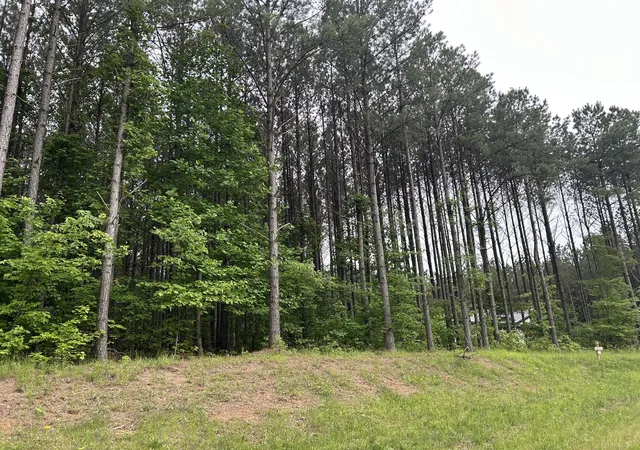 Photo 3 of Land for sale at 1771 Crockett Point #JF-604, Jasper, TN 37347 | MLS# 1513111 | Listing updated on 2026-06-29
