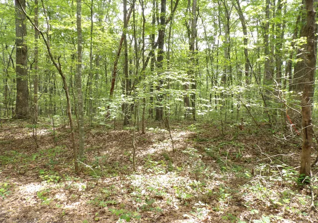 Photo 3 of Land for sale at 000 Maple Ln, Crossville, TN 38572 | MLS# 1514497 | Listing updated on 2026-07-27